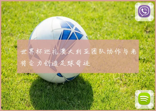 世界杯巡礼澳大利亚团队协作与老将合力创造足球奇迹